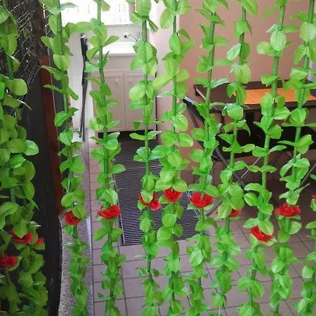Apartamento Alba Sweet